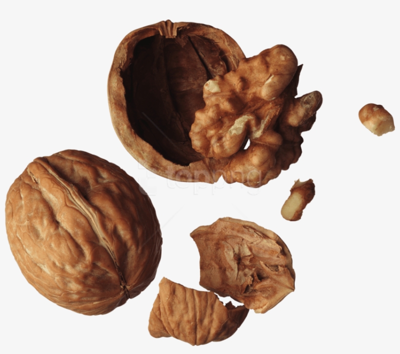 Free Png Walnut Png Images Transparent - Орех Пнг, transparent png download
