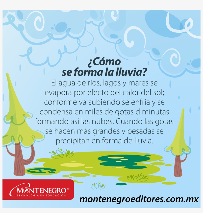 Save To Collection - Poster, transparent png download