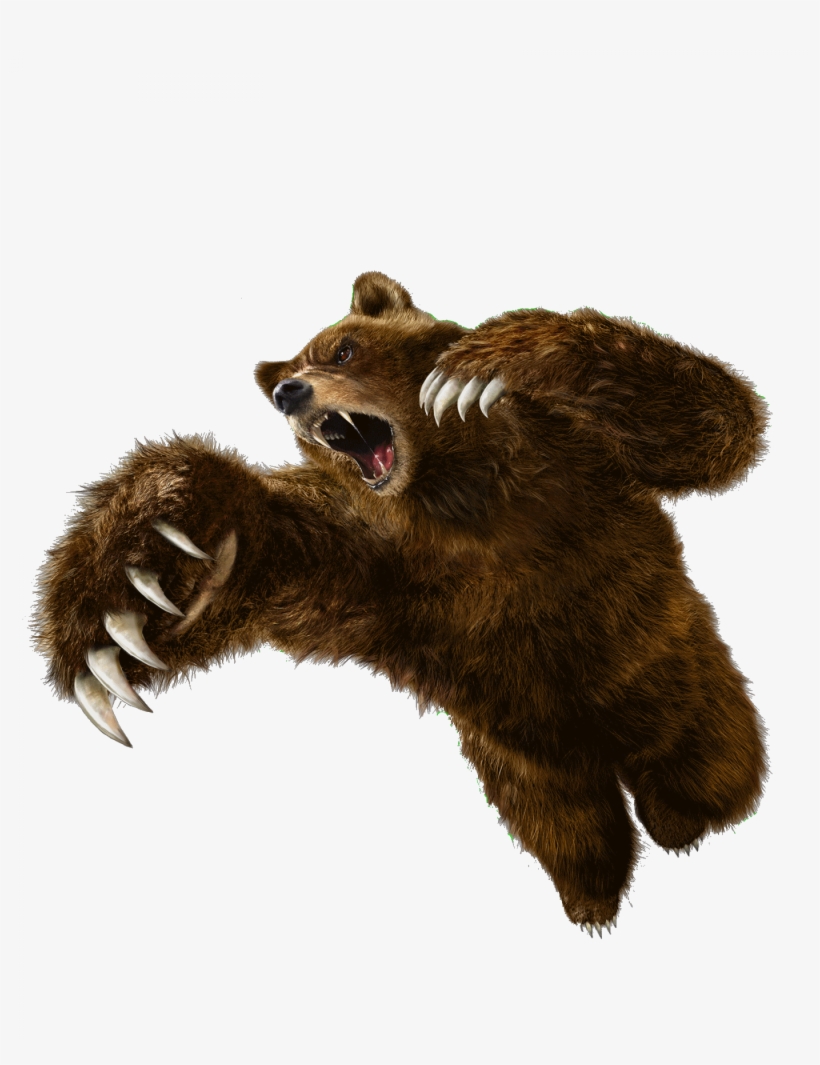 1438 Render Tekken O - Tekken 6 Kuma, transparent png download