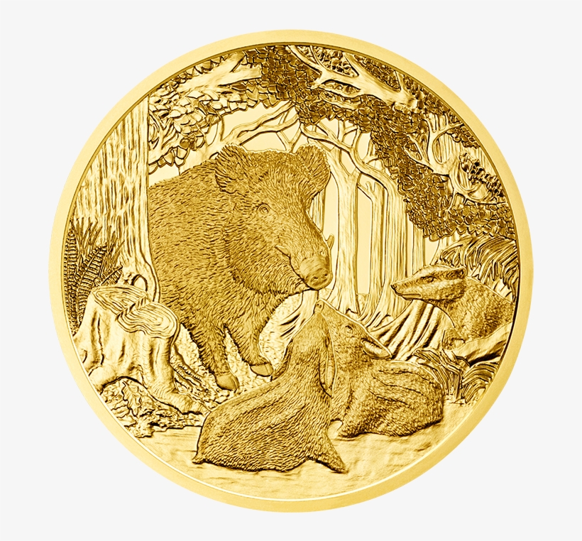 Specification - Boar Coin, transparent png download