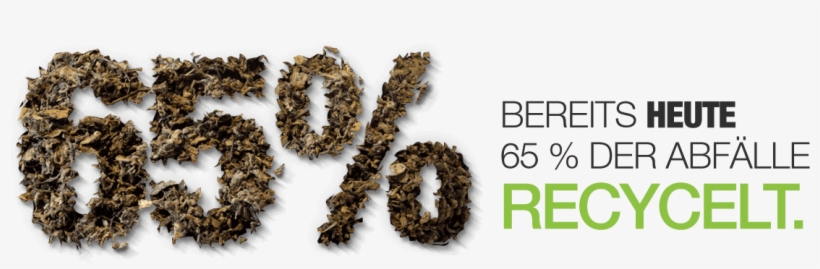 Slider 2 De - Insect, transparent png download