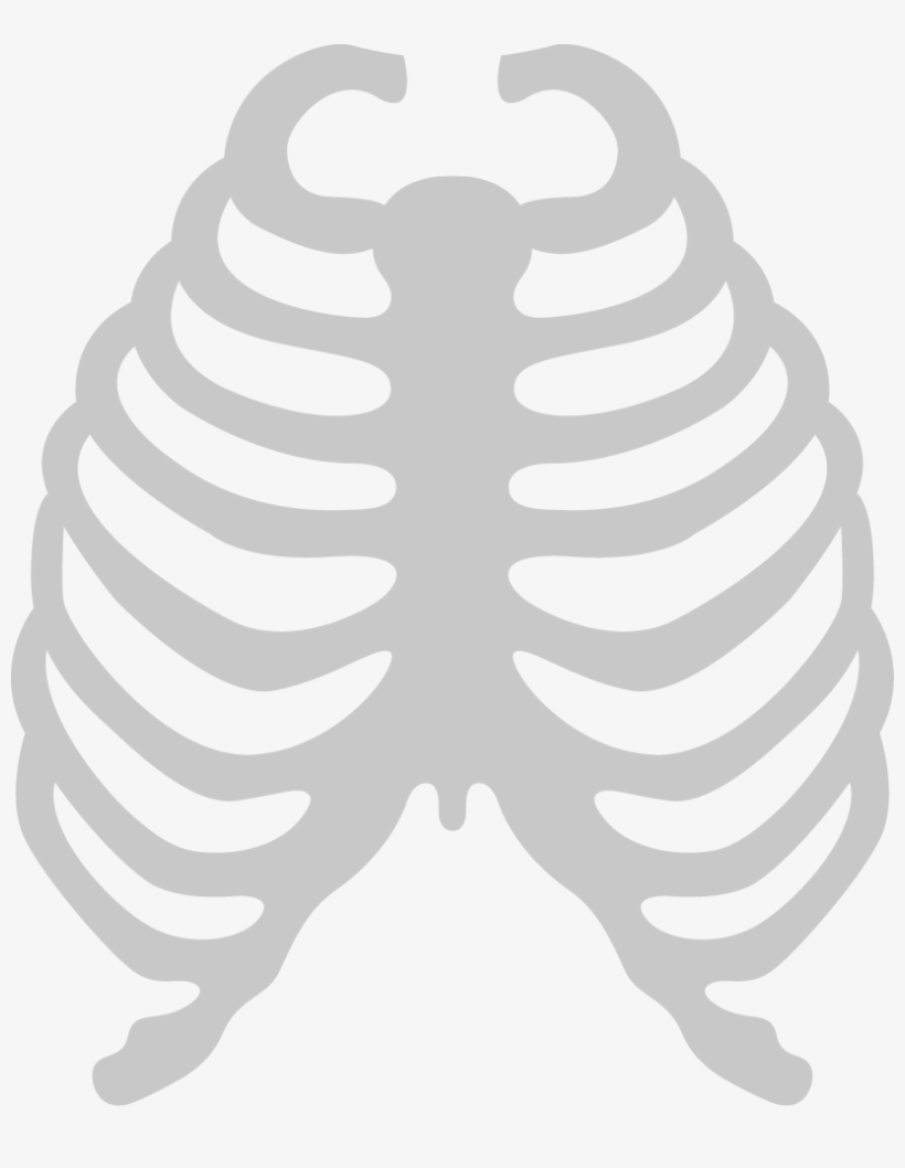 Herniated Disc - Esqueleto Pecho Png, transparent png download