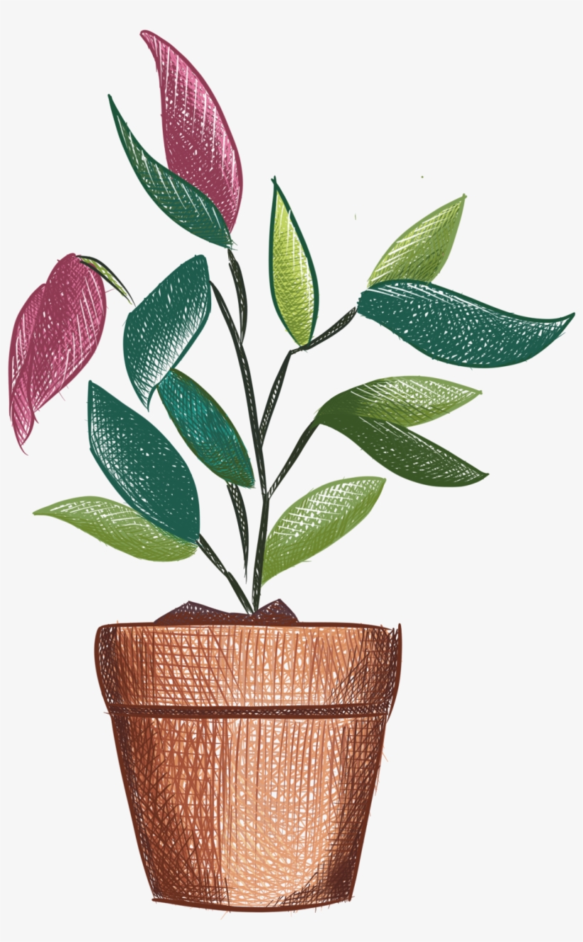 Plantas Pintadas A Mano Flores Frescas En Maceta Png - Plants, transparent png download