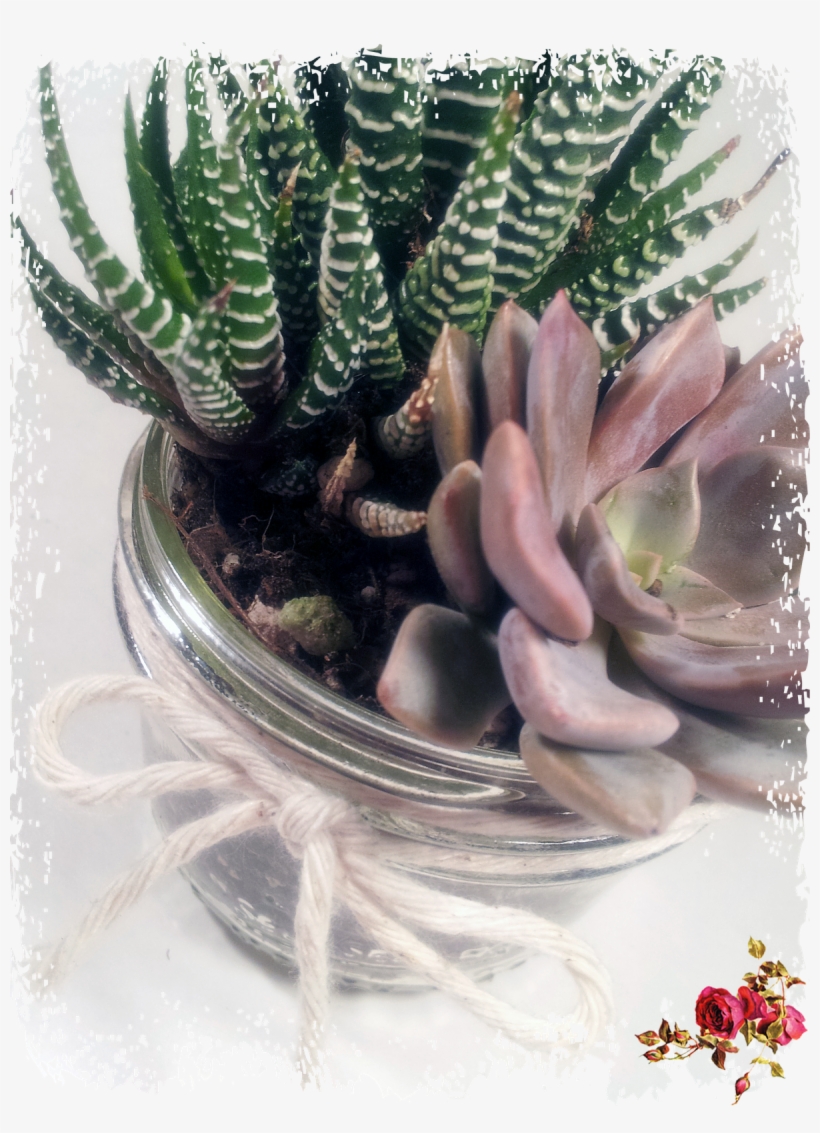 So Cute - Vintage Roses, transparent png download