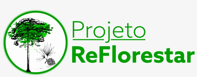 O Município De Oliveira Do Hospital Vai Disponibilizar, transparent png download