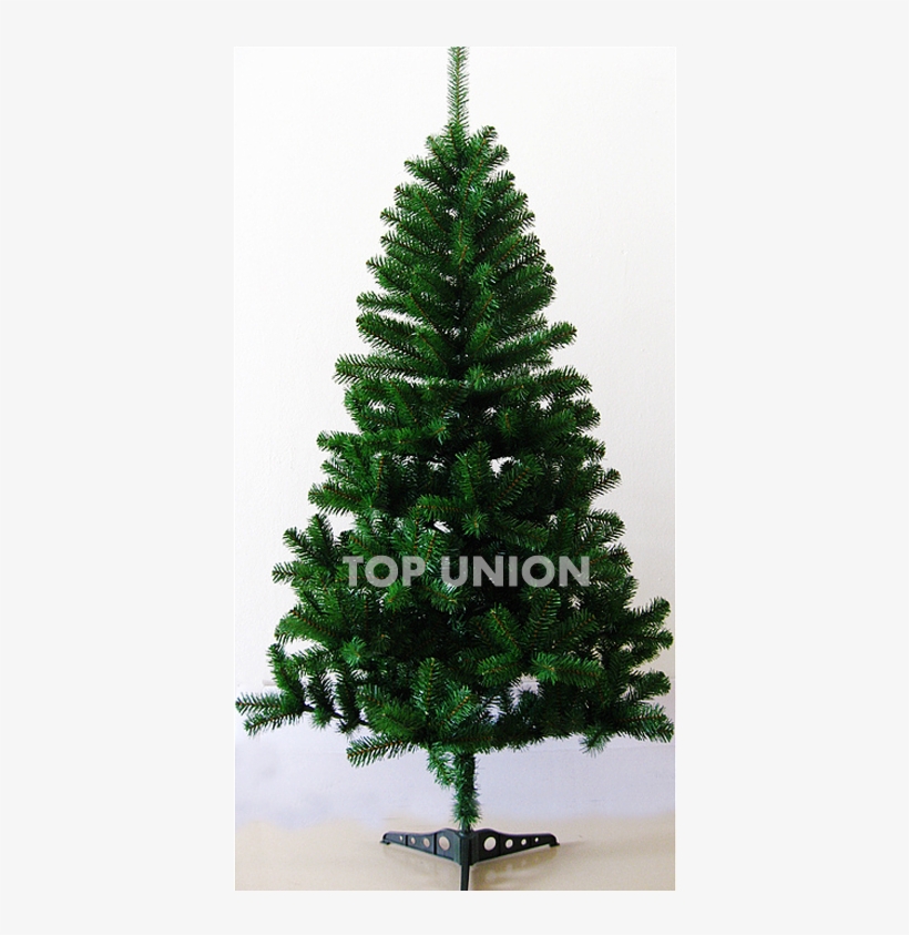 Cs9011 - Sapin De Noel 1m70, transparent png download