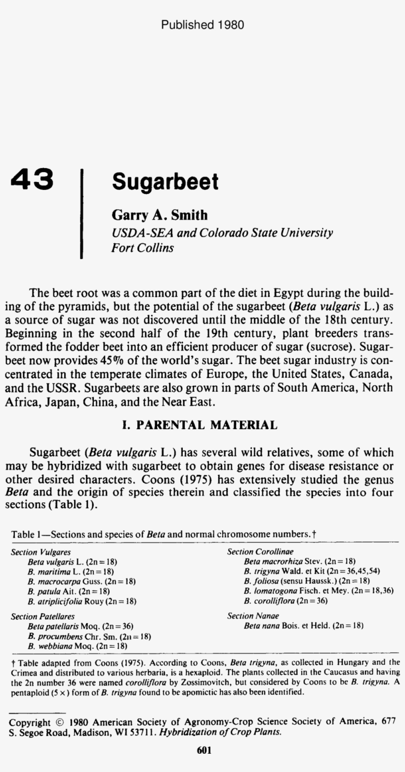 Abstract - Document, transparent png download