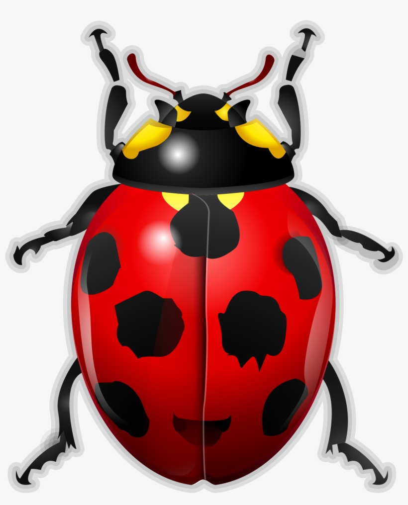 File Oxygen Kbugbuster Svg Wikimedia Commons Open - Bug, transparent png download