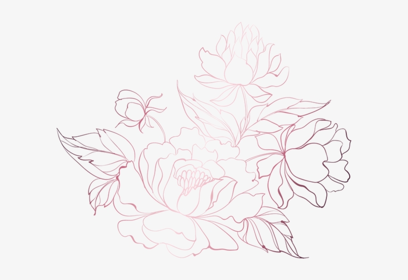 Process - Sketch, transparent png download