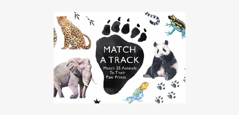 Match A Track - Animales Y Sus Huellas, transparent png download