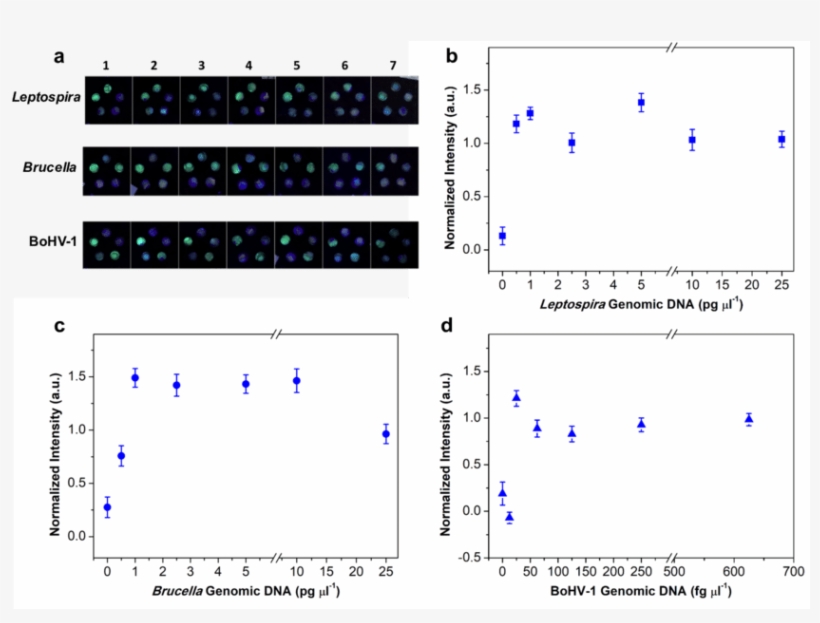 Analytical Sensitivity Of The Paper-origami Device - Diagram, transparent png download