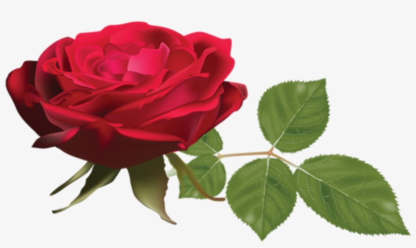 Hojas Png - Rose, transparent png download