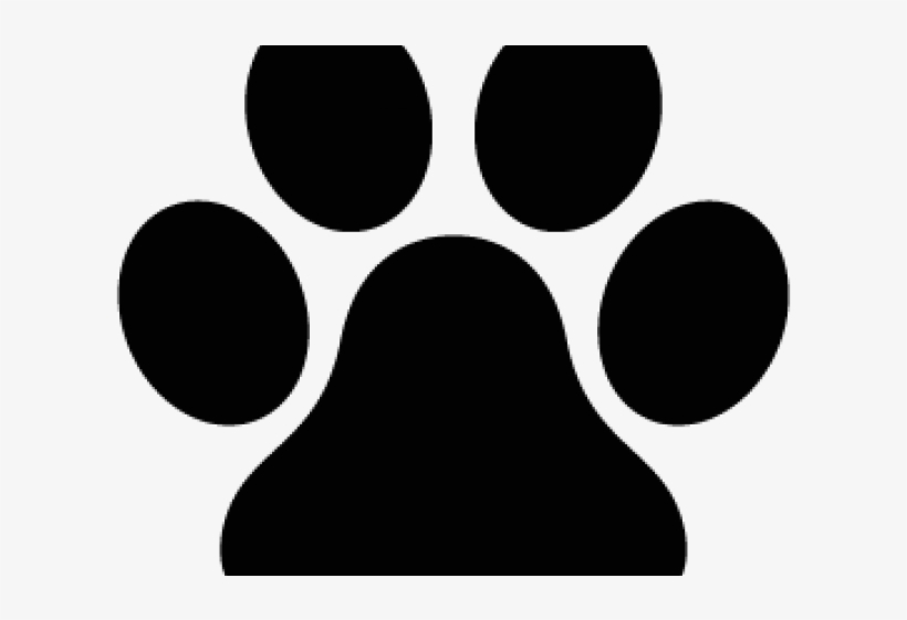 Dog, transparent png download