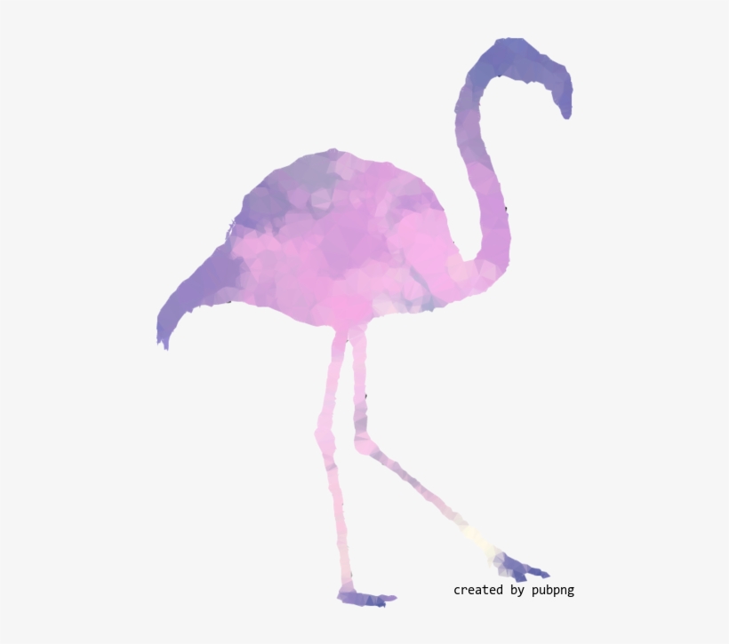 Pink M, Beak, Bird, Low Poly Transparent Png Image - Greater Flamingo, transparent png download