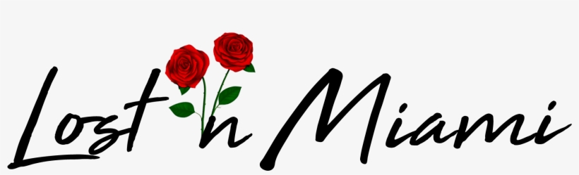 Cropped Lost In Miami Fall Rose 1 - Testimonios Png, transparent png download