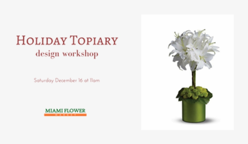 Fresh Holiday Topiary Workshop - Bouquet, transparent png download