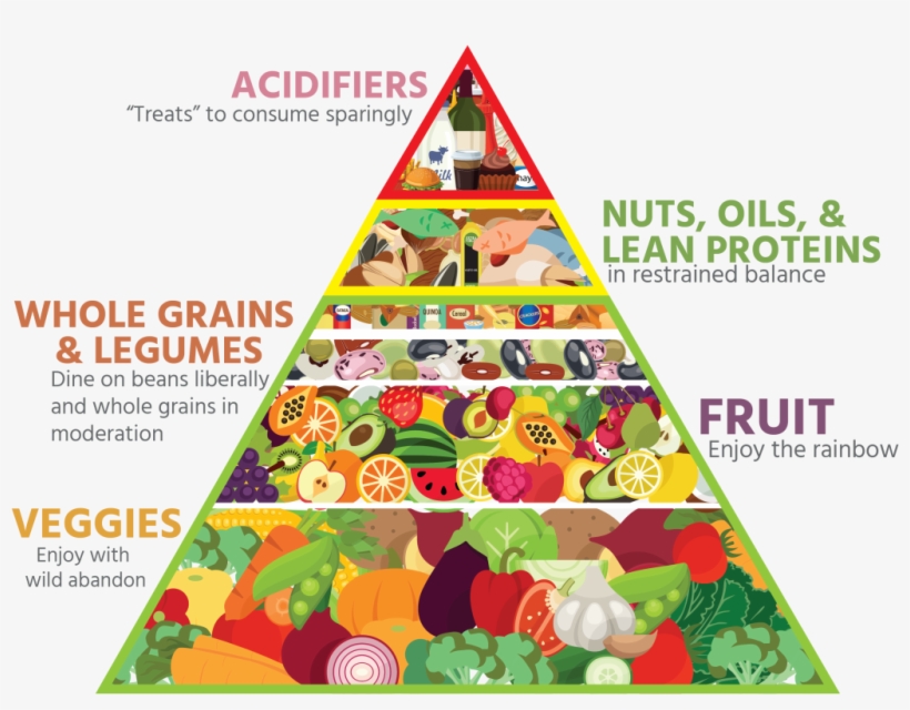 New Pyramid - Food Group Pyramid 2016, transparent png download