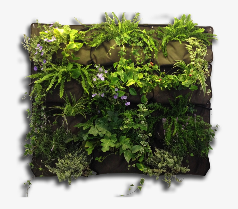 748 X 640 6 - Vertical Garden Transparent, transparent png download