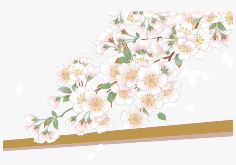 Cherry Blossom, transparent png download