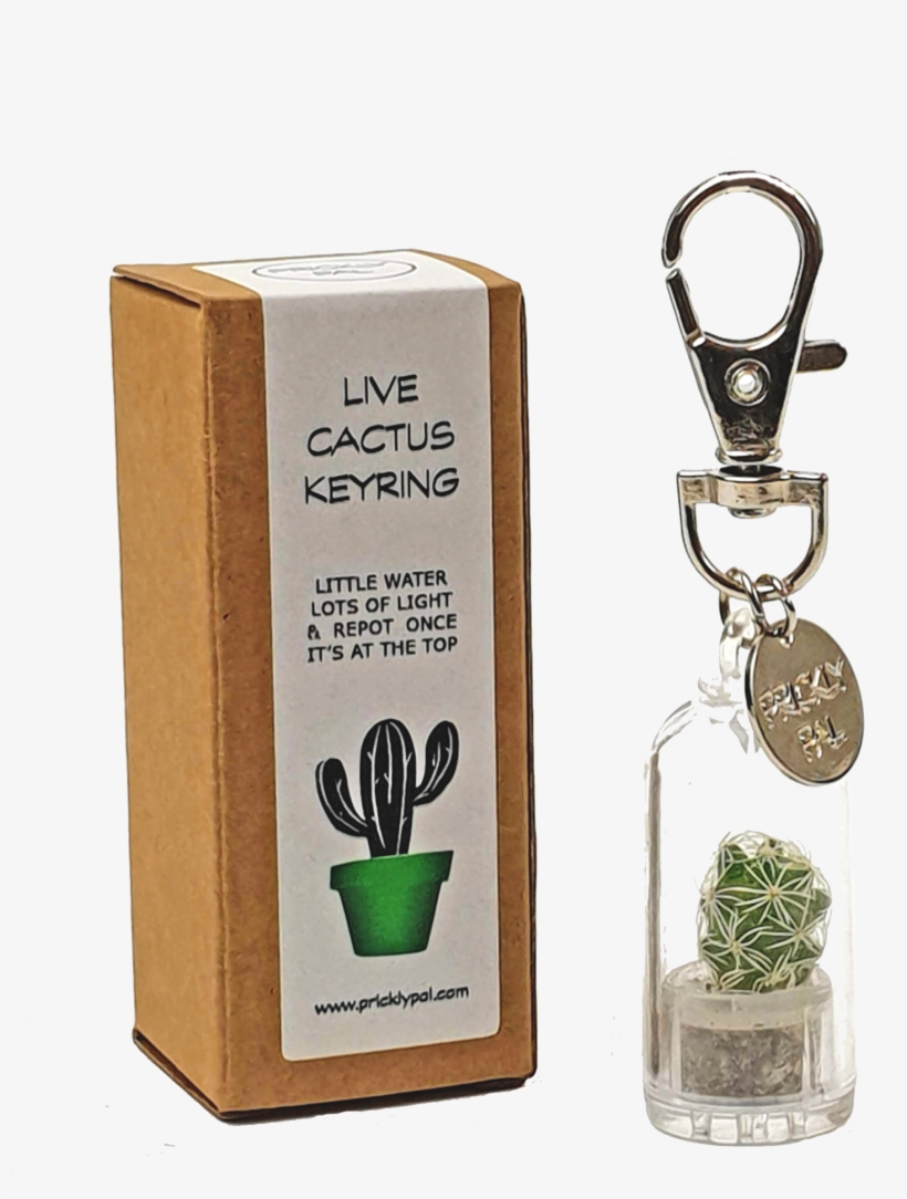 Cactus Keyrings - Cactus, transparent png download