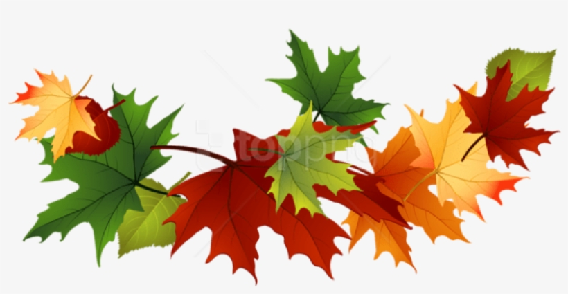 Free Png Download Fall Transparent Leaves Clipart Png - Transparent Fall Leaves Clip Art, transparent png download