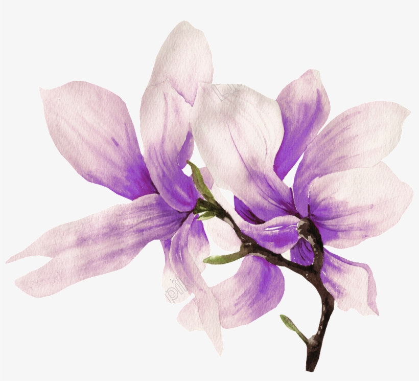 Hand Painted Flower Png Transparent Free, transparent png download