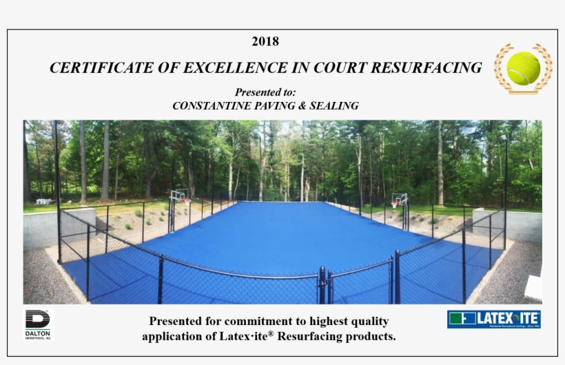 "their Commitment To Detail In The Work They Do On - Tree, transparent png download