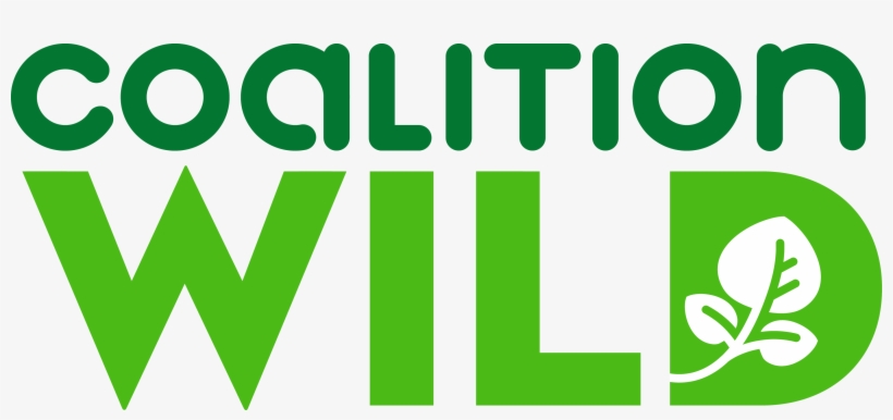 Cw Logo - Graphic Design, transparent png download