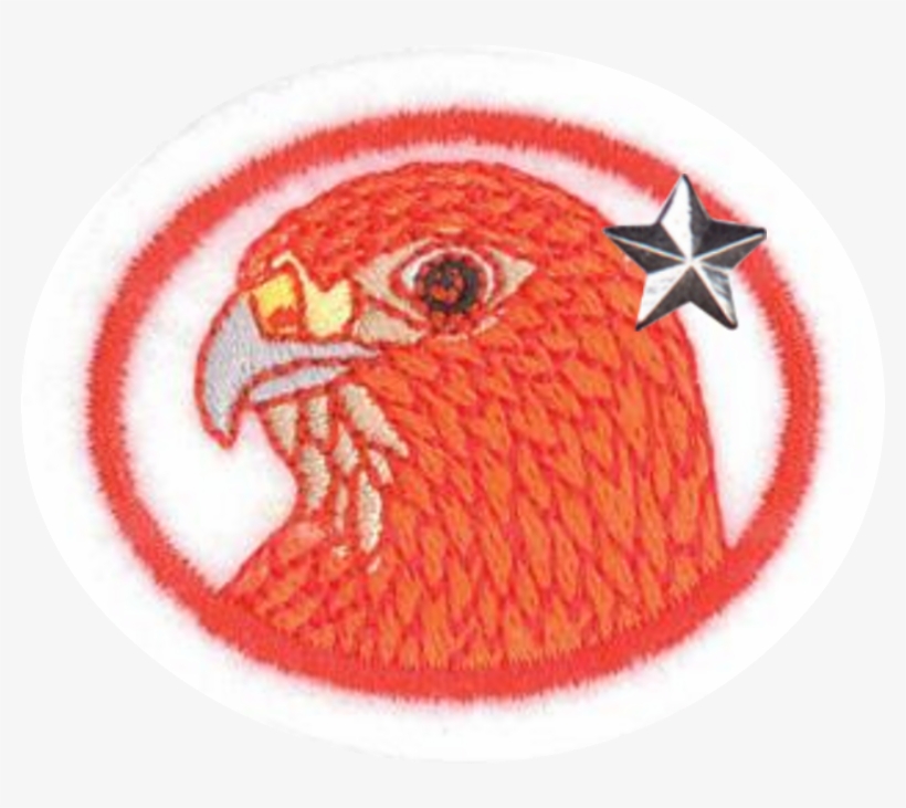Raptors Advanced - Emblem, transparent png download