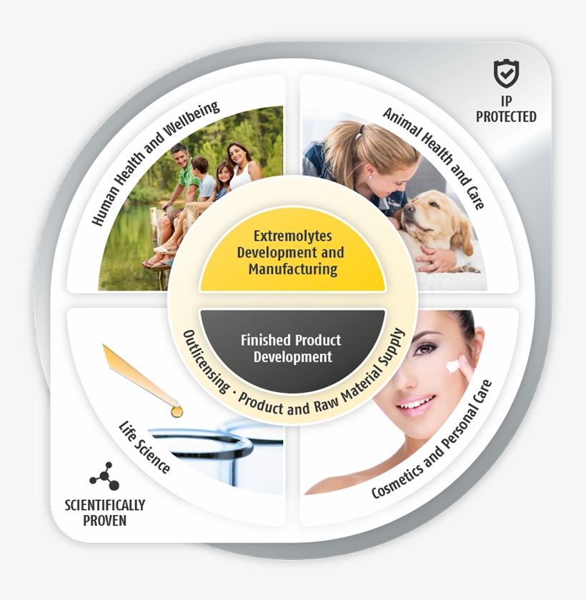 As Protective Agents, Extremolytes Shield Proteins, - Circle, transparent png download