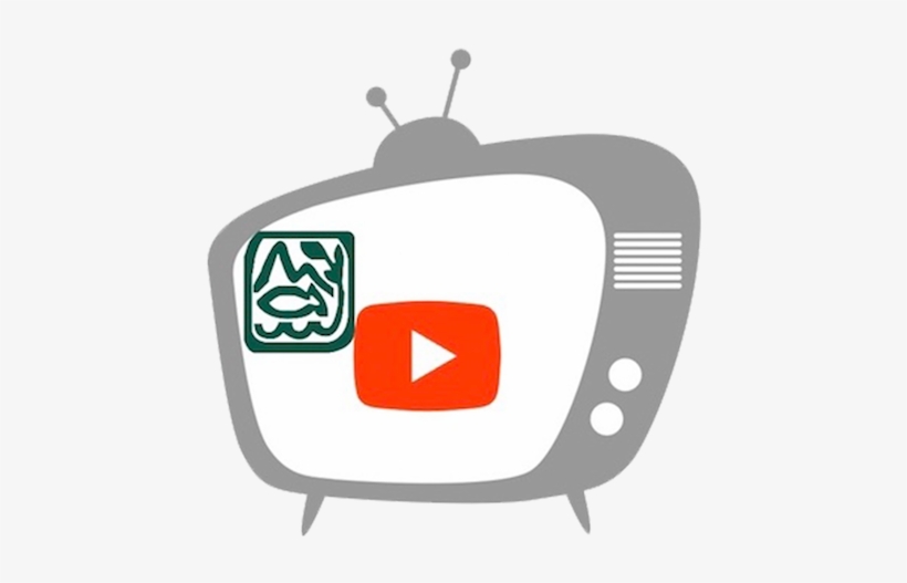 Bingbing Zhou Liked This - Engage Tv, transparent png download