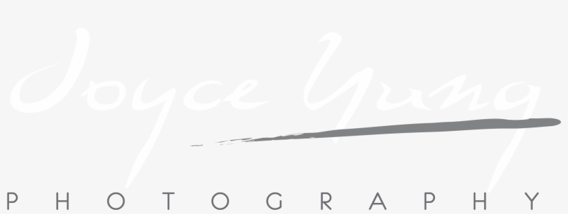 About - Exhibitions - Monochrome, transparent png download