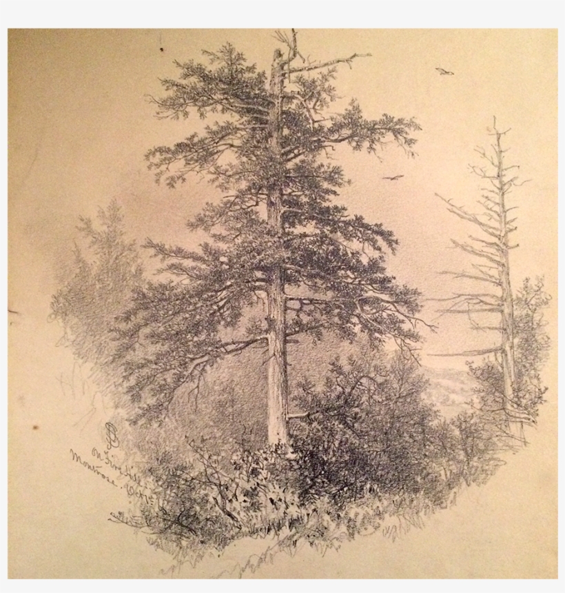 James D Smillie Hudson River Artist Drawing On Fire - Red Pine, transparent png download