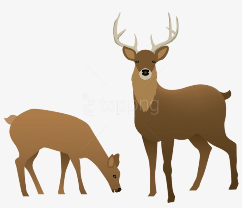 Free Png Stag And Doe Png Images Transparent - Deer Clipart Transparent Background, transparent png download