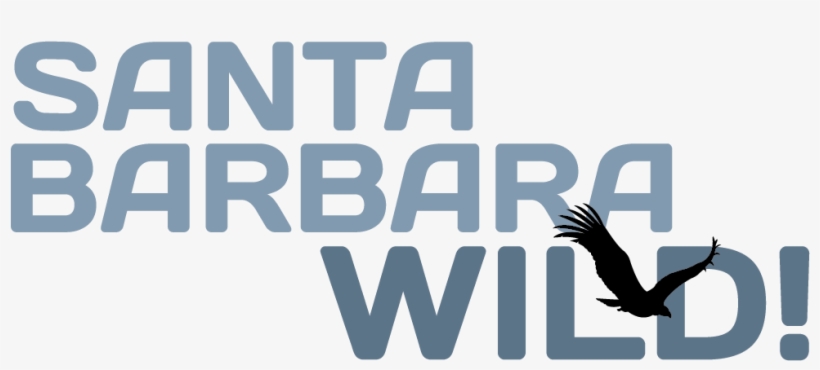 Events - Barth, transparent png download