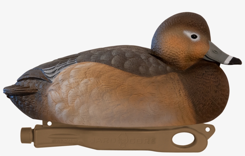 Rugged Series Redhead Hen Foam-filled - Redhead, transparent png download