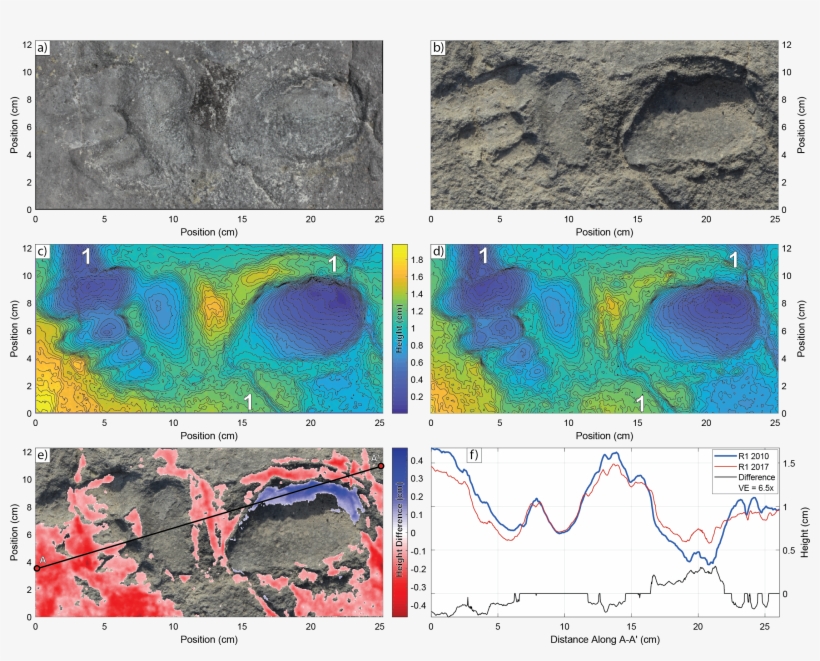 View Larger Image - Map, transparent png download