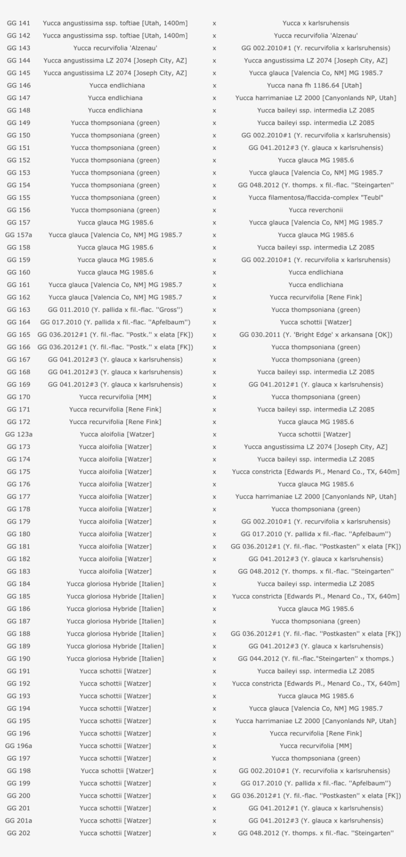 Gg 141 Yucca Angustissima Ssp - Text Page - Holy Land - The Necropolis, transparent png download