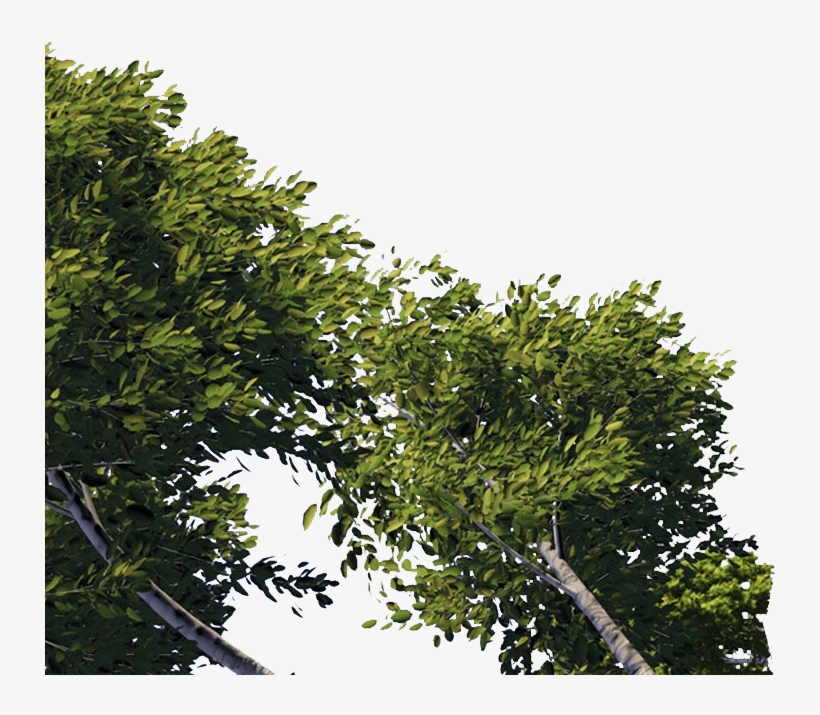 Dreamworld - Dreamworld - Dreamworld - Dreamworld - - Shrek, transparent png download