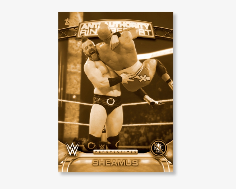 Professional Boxing, transparent png download