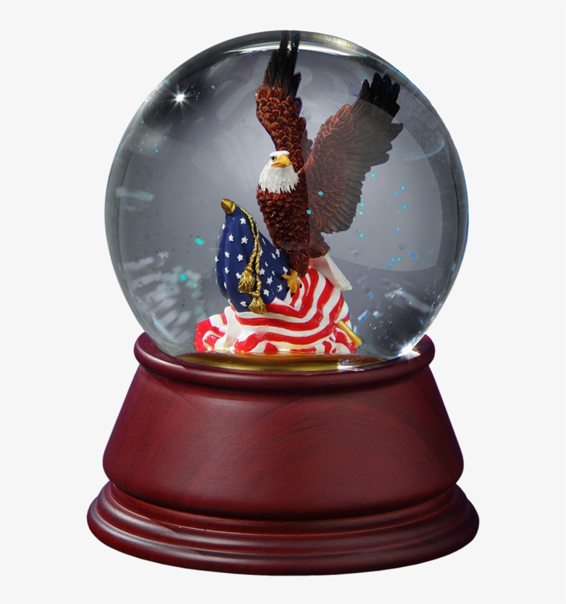 American Eagle Wg - Bald Eagle, transparent png download