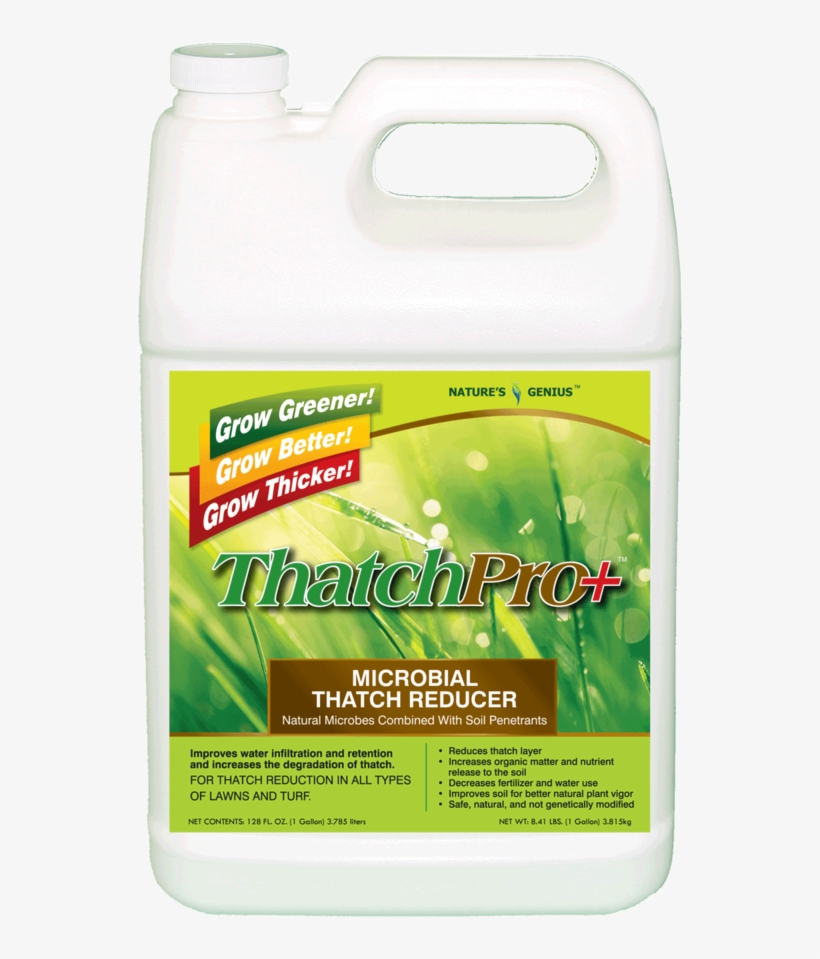 Thatchpro 1g Front, transparent png download