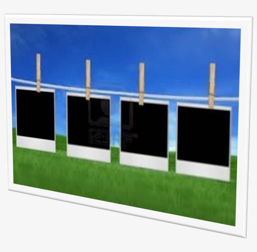 This Sad Finishing To Such An Legendary Camera Would - Grass, transparent png download