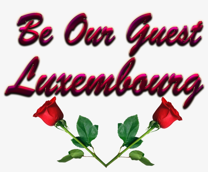 Garden Roses, transparent png download