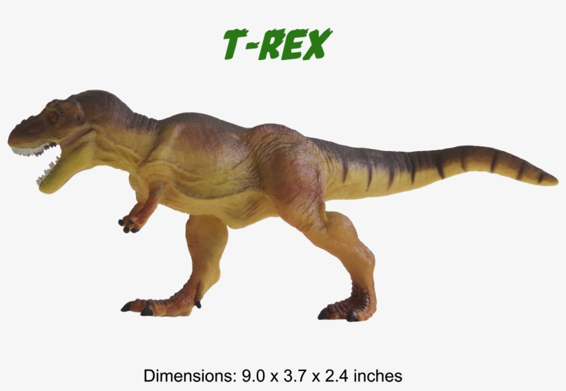 Ankylosaurus Model Triceratops Model T-rex Model Brachiosaurus - Tyrannosaurus, transparent png download