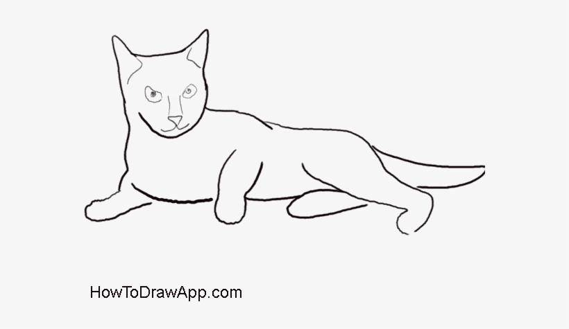 Cat Drawing And Coloring - Minskin, transparent png download