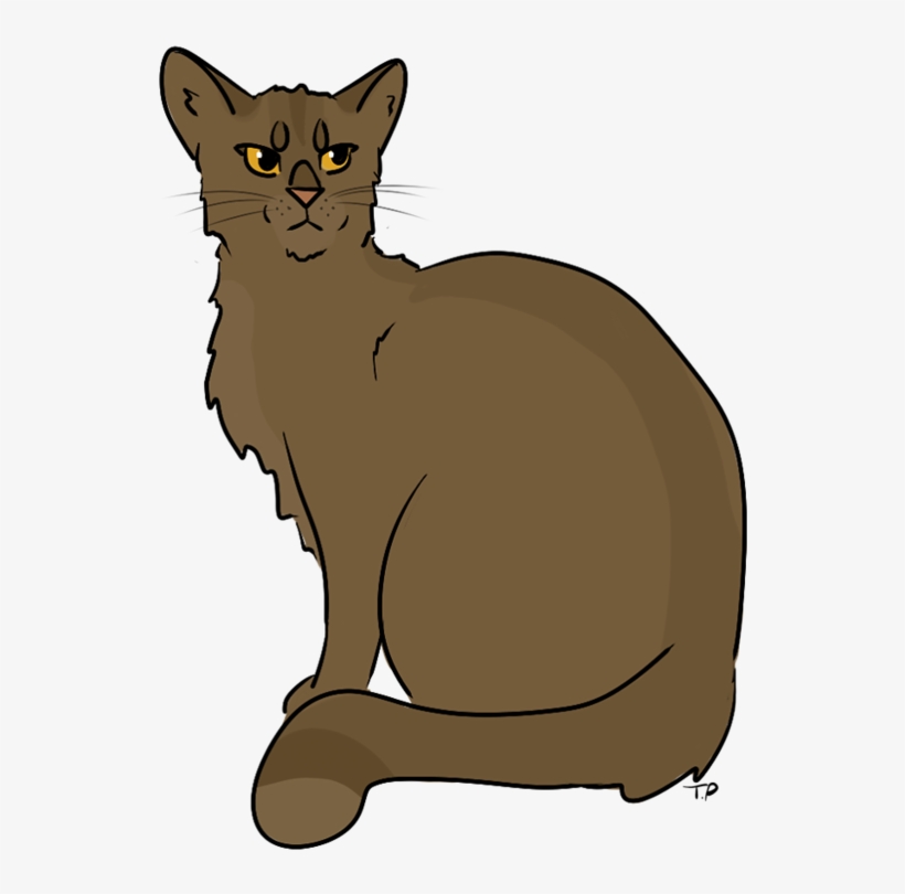Asian, transparent png download