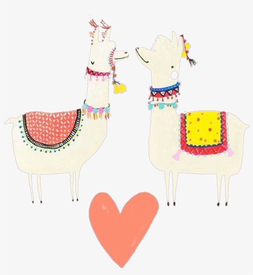 Report Abuse - Llama, transparent png download