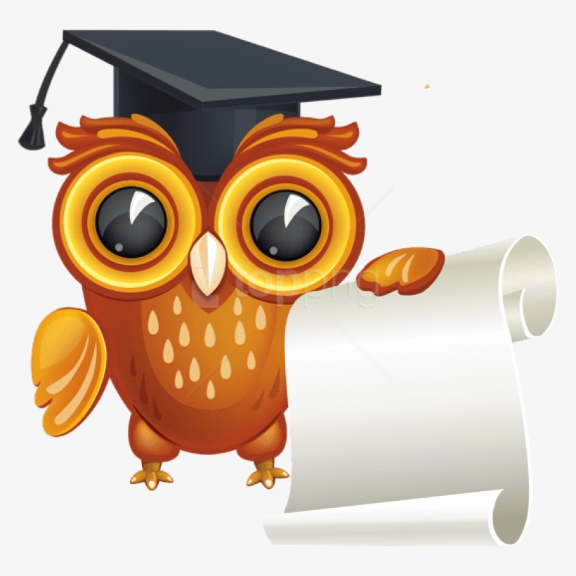 Download Free Png Download Owl With Diploma Clipart Png Photo Owl With Graduation Hat Clipart Png Transparent Png 850x792 Free Download On Nicepng