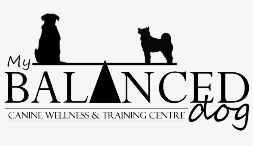 My Balanced Dog - Abba The Music Still Goes, transparent png download